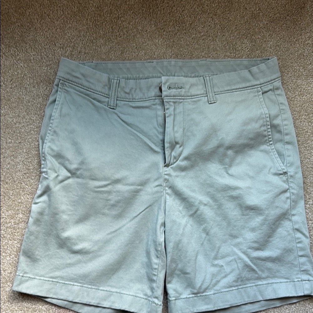 Roundtree & Yorke Men's Flat Front Shorts - Light Green